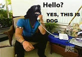 Yes, This is Dog