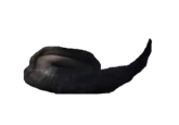 Dom's Beard