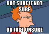 Futurama Fry / Not Sure If X