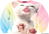 Sexy Sweaters