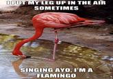 I Throw My Hands Up In The Air Sometimes Saying Ayo