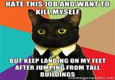 Business Cat
