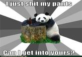Pickup Line Panda