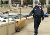 Casually Pepper Spray Everything Cop