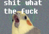 Oh God How Did This Get Here I Am Not Good With Computer