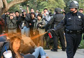Casually Pepper Spray Everything Cop