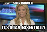 Megyn Kelly Essentially