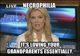Megyn Kelly Essentially