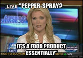 Megyn Kelly Essentially