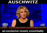 Megyn Kelly Essentially
