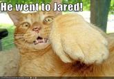 He Went to Jared