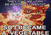 Pizza is a Vegetable