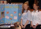 Fake Science Fair Projects