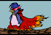Kamina glasses