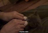 YouTube Automatic Caption Fails