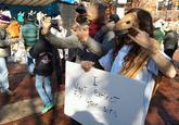 Horse Head Mask