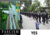 Occupy Wall Street