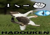 Shoryuken / Hadouken