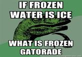 Philosoraptor