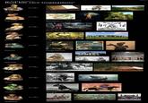 The Elder Scrolls