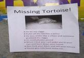 IRL Troll Posters