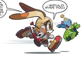 The Tails Doll