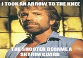 I Took an Arrow in the Knee
