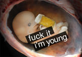 Fuck It I'm Young