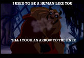 I Took an Arrow in the Knee