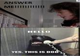 Yes, This is Dog