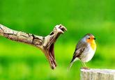 Perfectly Timed Photos