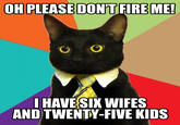 Business Cat