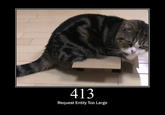Cats