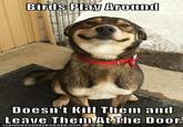 Good Dog Greg