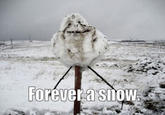 Forever Alone