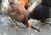 Tenso