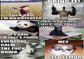 I'm an Anteater!!!