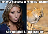 Totally Looks Like / Separated At Birth