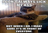 The Most Interesting Cat in the World