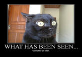What Has Been Seen Cannot Be Unseen