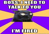 Anxiety Cat