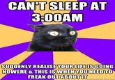 anxiety cat know your meme tumblr_lvlsahGxsE1qe9y5po1_500 anxiety cat know your meme