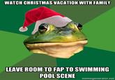 Foul Bachelor Frog
