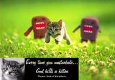 Every time you masturbate, God kills a kitten