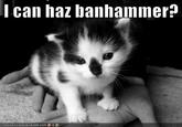 Banhammer