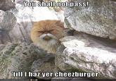 You Shall Not Pass!!!