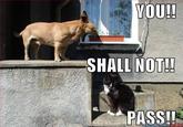 You Shall Not Pass!!!