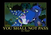 You Shall Not Pass!!!