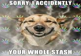 I Accidentally