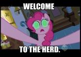 Bronyspeak